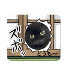 黒猫 ルナ院長129にゃんめ（個別スタンプ：2）