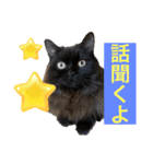 黒猫 ルナ院長129にゃんめ（個別スタンプ：4）