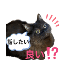 黒猫 ルナ院長129にゃんめ（個別スタンプ：5）