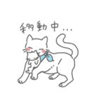 ねこ。ほんわか（個別スタンプ：13）