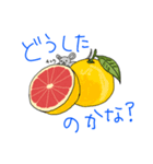 動物かくれんぼ7（個別スタンプ：5）