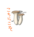 動物かくれんぼ7（個別スタンプ：11）