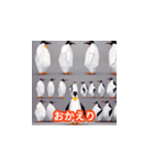 働く動物スタンプ（個別スタンプ：15）