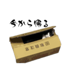 オレオ＆クッキー（個別スタンプ：22）