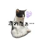 オレオ＆クッキー（個別スタンプ：23）