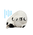 オレオ＆クッキー（個別スタンプ：33）