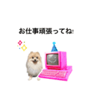 もぐちゃんの冬スタンプ（個別スタンプ：25）