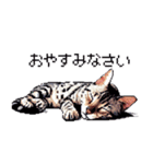 ドット絵 ベンガル シルバー 40種 定番（個別スタンプ：11）