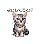 ドット絵 ベンガル シルバー 40種 定番（個別スタンプ：39）