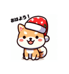 柴犬とクリスマス仕様スタンプ（個別スタンプ：1）