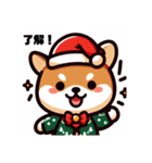 柴犬とクリスマス仕様スタンプ（個別スタンプ：5）