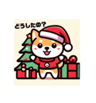 柴犬とクリスマス仕様スタンプ（個別スタンプ：20）