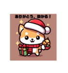 柴犬とクリスマス仕様スタンプ（個別スタンプ：24）