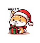 柴犬とクリスマス仕様スタンプ（個別スタンプ：28）