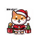 柴犬とクリスマス仕様スタンプ（個別スタンプ：29）