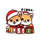 柴犬とクリスマス仕様スタンプ（個別スタンプ：34）