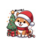 柴犬とクリスマス仕様スタンプ（個別スタンプ：37）