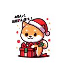 柴犬とクリスマス仕様スタンプ（個別スタンプ：38）