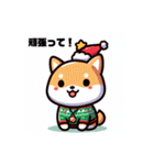 柴犬とクリスマス仕様スタンプ（個別スタンプ：40）