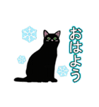 【動く】家族連絡☆シンプル黒猫・冬（個別スタンプ：11）