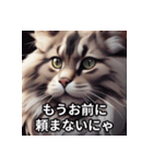 世界の猫2 憤怒（個別スタンプ：13）