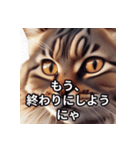 世界の猫2 憤怒（個別スタンプ：21）