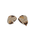 猫ときどき娘（個別スタンプ：2）