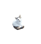 猫ときどき娘（個別スタンプ：5）