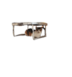 猫ときどき娘（個別スタンプ：8）