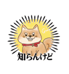 愛犬テンの日常（個別スタンプ：4）