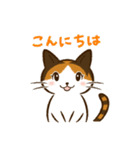 三毛猫ゆいちゃん（個別スタンプ：1）