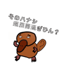 そのハナシカモノハシ（個別スタンプ：15）
