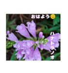 秋の山野草で おはようございます（個別スタンプ：15）