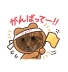 猫好き集まれ！（個別スタンプ：5）