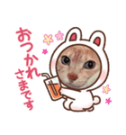 猫 ちぃの日常Vol.3（個別スタンプ：1）