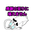 まゆげイカのスタンプ第二弾です（個別スタンプ：15）