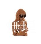 ぱかやろッてンだぉ前はょ（個別スタンプ：21）