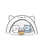 シロニャンフレンズ1 冬（個別スタンプ：38）