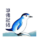 ペンギンの章（個別スタンプ：6）