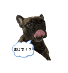 僕の名前はボー Vol.3（個別スタンプ：8）