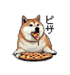 ドット絵 食べる柴犬 食欲旺盛 40種（個別スタンプ：1）