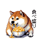 ドット絵 食べる柴犬 食欲旺盛 40種（個別スタンプ：4）