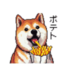 ドット絵 食べる柴犬 食欲旺盛 40種（個別スタンプ：7）