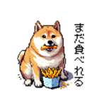 ドット絵 食べる柴犬 食欲旺盛 40種（個別スタンプ：8）