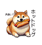 ドット絵 食べる柴犬 食欲旺盛 40種（個別スタンプ：9）