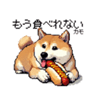 ドット絵 食べる柴犬 食欲旺盛 40種（個別スタンプ：10）