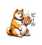 ドット絵 食べる柴犬 食欲旺盛 40種（個別スタンプ：11）