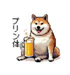 ドット絵 食べる柴犬 食欲旺盛 40種（個別スタンプ：12）