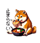 ドット絵 食べる柴犬 食欲旺盛 40種（個別スタンプ：16）