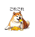 ドット絵 食べる柴犬 食欲旺盛 40種（個別スタンプ：20）